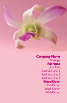 Lovely Orchid Full Colour Business Cards