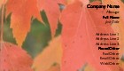 Close-up of Autumn Leaves