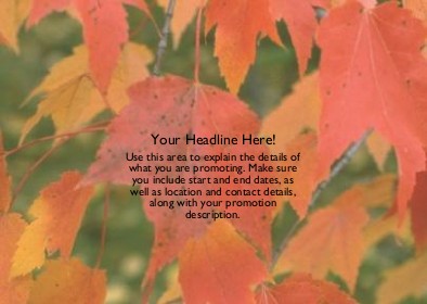 Autumn Beauty Full Colour Standard Sized Postcards