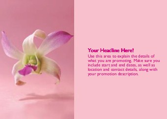 Lovely Orchid Full Colour Standard Sized Postcards