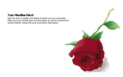 One Rose Full Colour Oversized Postcards