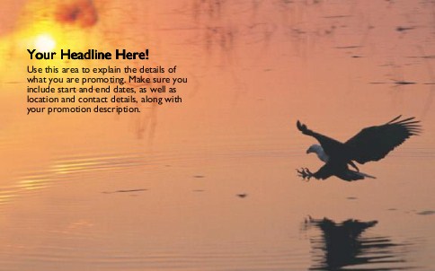 Fishing Eagle Full Colour Oversized Postcards