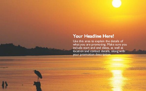 Heron At Sunset Full Colour Oversized Postcards