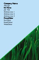 Lush Lawn Full Colour Magnetic Business Cards