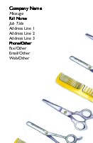 Clip N Comb Full Colour Business Cards