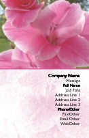 Prize Petals