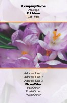 Spring Crocuses Full Colour Magnetic Business Cards