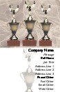 Triple Trophy Full Colour Business Cards
