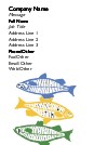Fish Folk Art Recycled Business Cards