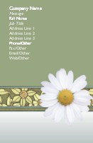 White Daisy Full Colour Business Cards