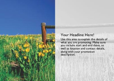 Springtime Field Full Colour Standard Sized Postcards