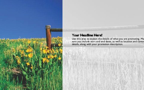 Springtime Field Full Colour Oversized Postcards
