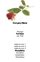 A Single Rose