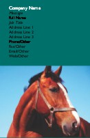 Horse Right Profile