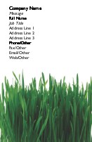 Tall Green Grass Full Colour Magnetic Business Cards