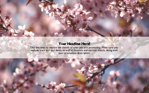 Cherry Blossom Tree Full Colour Oversized Postcards