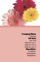 Large Chrysants Full Colour Magnetic Business Cards