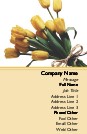 Bunch of Tulips Full Colour Magnetic Business Cards