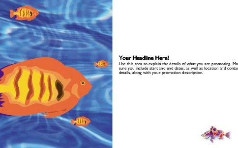 Tropical Fish Tank Full Colour Oversized Postcards