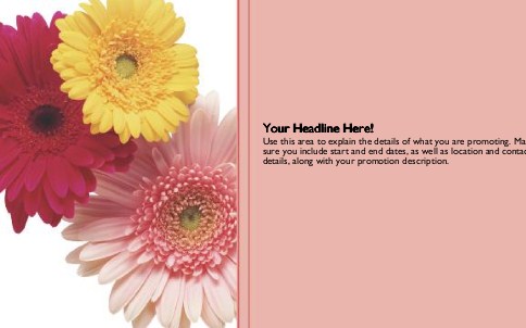 Large Chrysants Full Colour Oversized Postcards