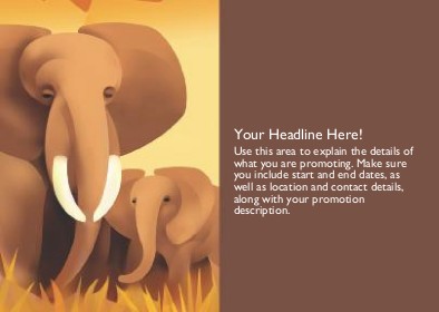 On Safari Full Colour Standard Sized Postcards