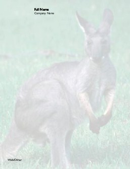 Kangaroo in Field Compact Note Pads