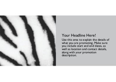 Zebra Stripes Full Colour Standard Sized Postcards