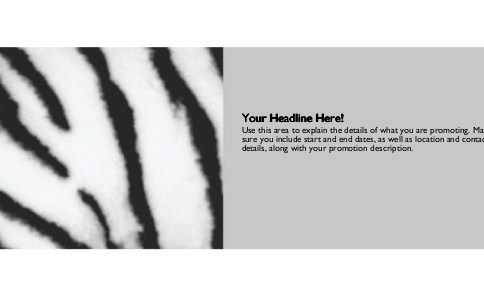 Zebra Stripes Full Colour Oversized Postcards