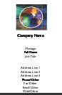 Global Networking Full Colour Business Cards