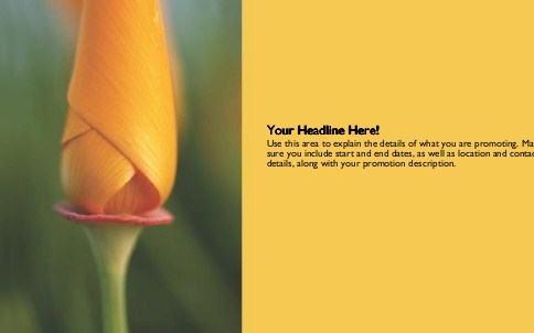 Yellow Rosebud Full Colour Oversized Postcards