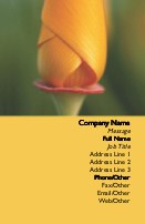 Yellow Rosebud Full Colour Magnetic Business Cards