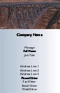 Railway Viaduct Full Colour Business Cards