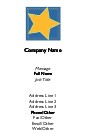 Stitched Star Recycled Business Cards