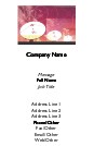 Triple Transmission Full Colour Magnetic Business Cards