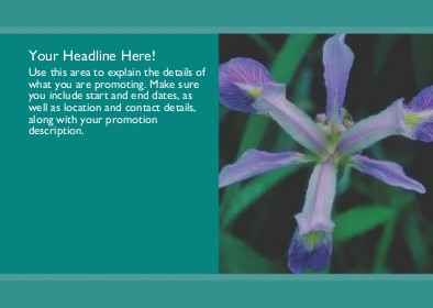 Purple Iris Full Colour Standard Sized Postcards
