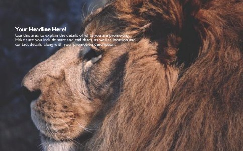 Majestic Mane Full Colour Oversized Postcards