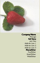Succulent Strawberry