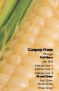 Corn Kernals Full Colour Magnetic Business Cards