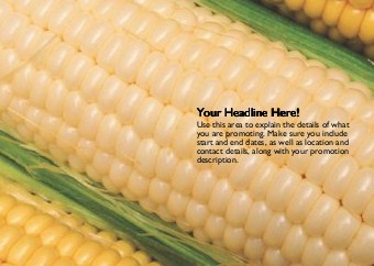 Corn Kernals Full Colour Standard Sized Postcards