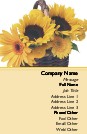 Basket of Sunflowers Full Colour Magnetic Business Cards