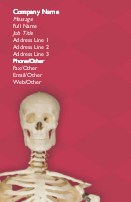 Mr. Bones Full Colour Magnetic Business Cards