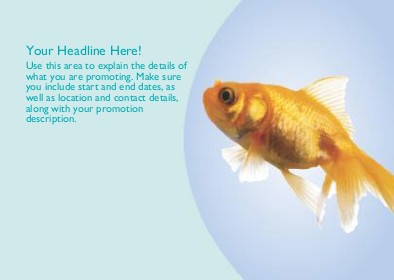 Follow that Fish Full Colour Standard Sized Postcards