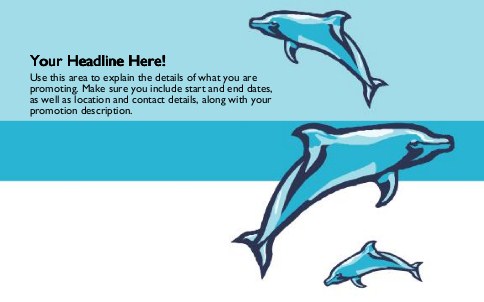 Jumping Dolphins Full Colour Oversized Postcards