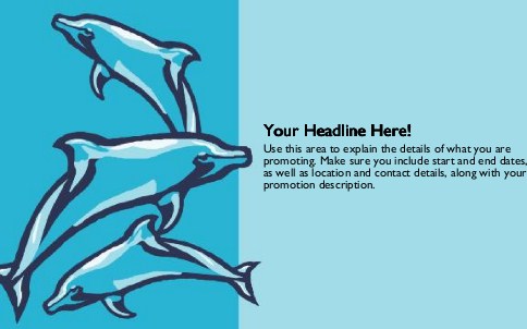 Swimming Dolphins Full Colour Oversized Postcards