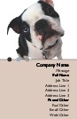 Boston Terrier Full Colour Business Cards