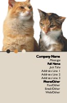 Feline Friends Full Colour Business Cards