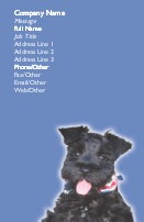 Schnauzer Ready to Play Full Colour Business Cards