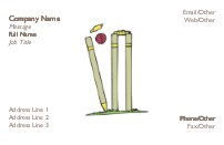Cricket Action Full Colour Business Cards