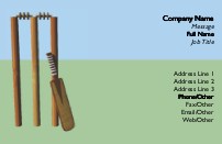 Cricketing Full Colour Business Cards