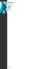 Lever A4 Letterhead